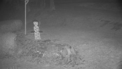 Běžecký lyžařský areál Nová Ves - horní část