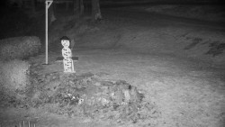 Běžecký lyžařský areál Nová Ves - horní část