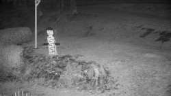 Běžecký lyžařský areál Nová Ves - horní část