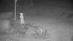 Běžecký lyžařský areál Nová Ves - horní část