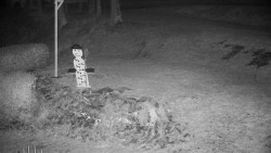 Běžecký lyžařský areál Nová Ves - horní část