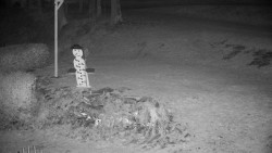 Běžecký lyžařský areál Nová Ves - horní část