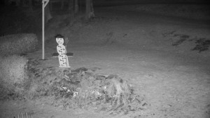 Chata Myslivna SKP Olomouc - Běžecký lyžařský areál Nová Ves - horní část - 22.12.2025 v 06:30 Chata Myslivna SKP Olomouc - Běžecký lyžařský areál Nová Ves - horní část - 22.12.2025 v 06:30