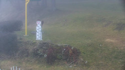 Běžecký lyžařský areál Nová Ves - horní část