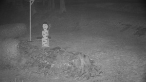 Chata Myslivna SKP Olomouc - Běžecký lyžařský areál Nová Ves - horní část - 22.12.2025 v 23:30 Chata Myslivna SKP Olomouc - Běžecký lyžařský areál Nová Ves - horní část - 22.12.2025 v 23:30