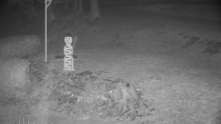 Běžecký lyžařský areál Nová Ves - horní část