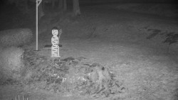 Běžecký lyžařský areál Nová Ves - horní část