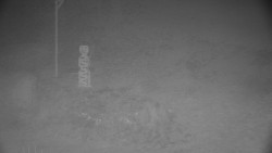 Běžecký lyžařský areál Nová Ves - horní část