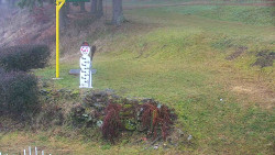 Běžecký lyžařský areál Nová Ves - horní část