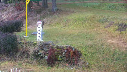 Běžecký lyžařský areál Nová Ves - horní část