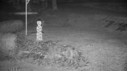 Běžecký lyžařský areál Nová Ves - horní část