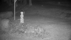 Běžecký lyžařský areál Nová Ves - horní část