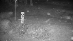 Běžecký lyžařský areál Nová Ves - horní část