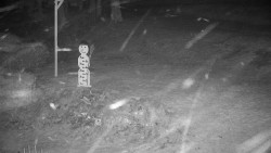 Běžecký lyžařský areál Nová Ves - horní část