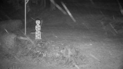 Běžecký lyžařský areál Nová Ves - horní část