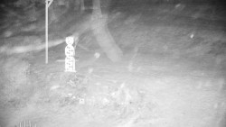 Běžecký lyžařský areál Nová Ves - horní část