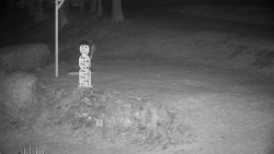 Běžecký lyžařský areál Nová Ves - horní část