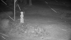 Běžecký lyžařský areál Nová Ves - horní část