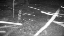 Běžecký lyžařský areál Nová Ves - horní část