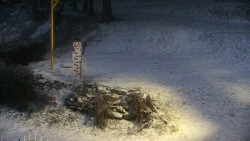 Běžecký lyžařský areál Nová Ves - horní část