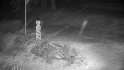 Běžecký lyžařský areál Nová Ves - horní část