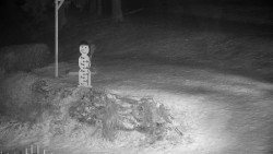 Běžecký lyžařský areál Nová Ves - horní část