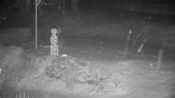 Běžecký lyžařský areál Nová Ves - horní část