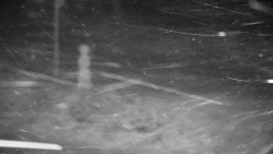 Běžecký lyžařský areál Nová Ves - horní část