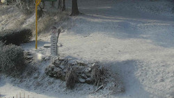 Běžecký lyžařský areál Nová Ves - horní část