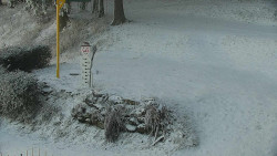 Běžecký lyžařský areál Nová Ves - horní část