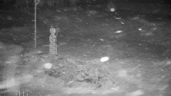 Běžecký lyžařský areál Nová Ves - horní část