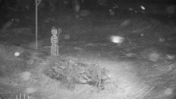 Běžecký lyžařský areál Nová Ves - horní část