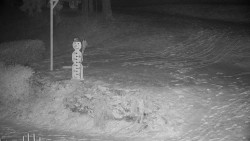 Běžecký lyžařský areál Nová Ves - horní část