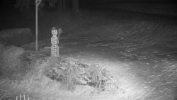 Běžecký lyžařský areál Nová Ves - horní část