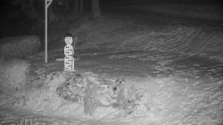 Běžecký lyžařský areál Nová Ves - horní část