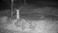 Běžecký lyžařský areál Nová Ves - horní část