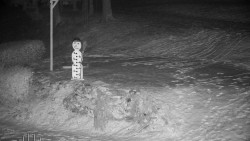 Běžecký lyžařský areál Nová Ves - horní část