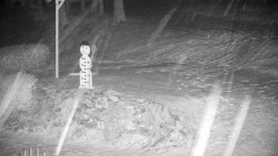 Běžecký lyžařský areál Nová Ves - horní část