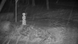 Běžecký lyžařský areál Nová Ves - horní část