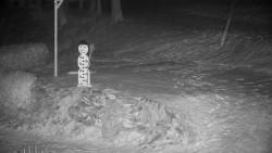 Běžecký lyžařský areál Nová Ves - horní část