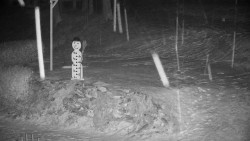 Běžecký lyžařský areál Nová Ves - horní část