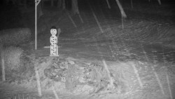 Běžecký lyžařský areál Nová Ves - horní část