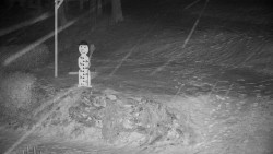 Běžecký lyžařský areál Nová Ves - horní část