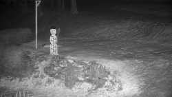 Běžecký lyžařský areál Nová Ves - horní část