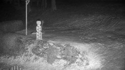 Běžecký lyžařský areál Nová Ves - horní část