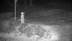 Běžecký lyžařský areál Nová Ves - horní část