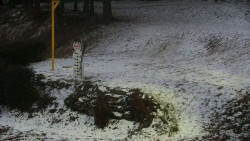 Běžecký lyžařský areál Nová Ves - horní část