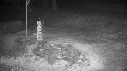 Běžecký lyžařský areál Nová Ves - horní část