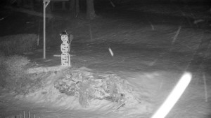 Chata Myslivna SKP Olomouc - Běžecký lyžařský areál Nová Ves - horní část - 30.12.2025 v 02:30 Chata Myslivna SKP Olomouc - Běžecký lyžařský areál Nová Ves - horní část - 30.12.2025 v 02:30