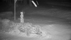 Běžecký lyžařský areál Nová Ves - horní část